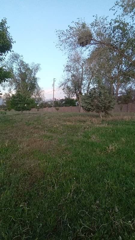 JC Park - Image 1