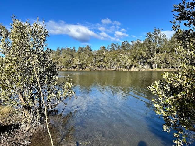 Lake Macquarie State Conservation Area Awaba Bay - Image 1