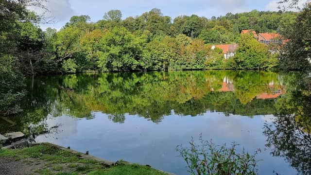 Liebenburger Teiche - Image 1