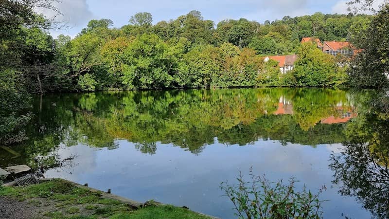 Liebenburger Teiche - Image 1