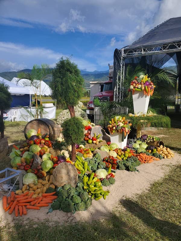 Festival de la Cosecha Constanza - Image 1