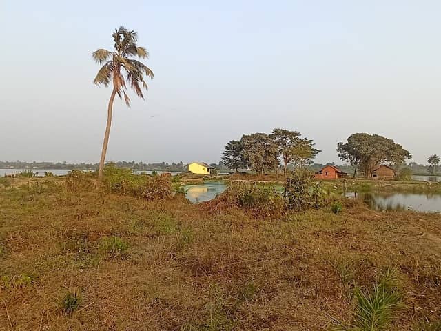 Kunjo Chhaya - Image 1
