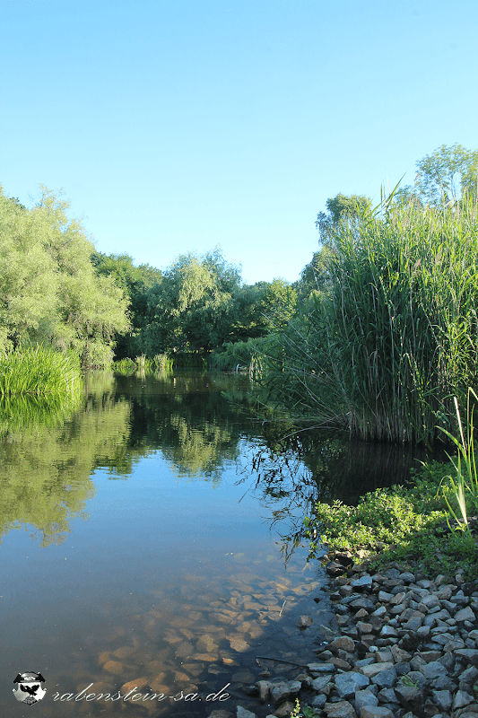Riedteich - Image 1