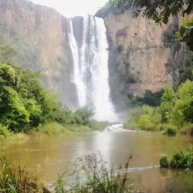 Howick Falls Gorge Walk - Image 1