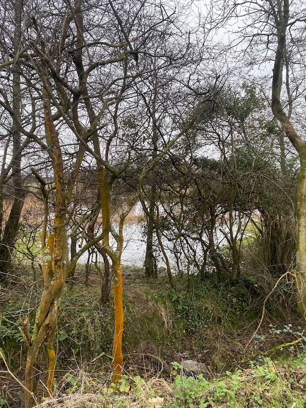 Quigley's Lough - Image 1