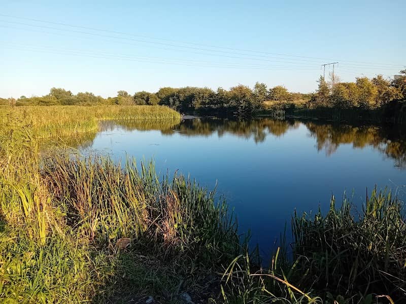Quigley's Lough - Image 2