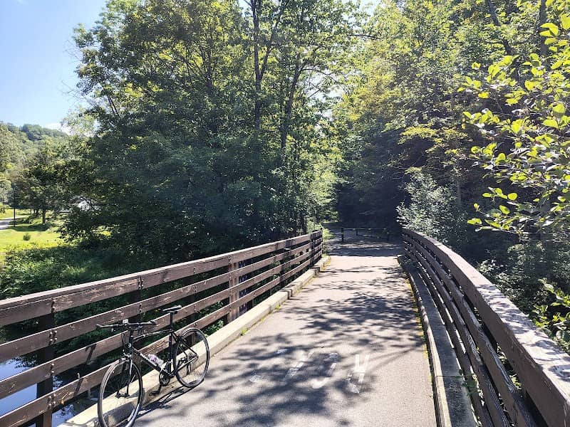 Ashuwillticook Rail Trail @ Merrill Rd - Image 1