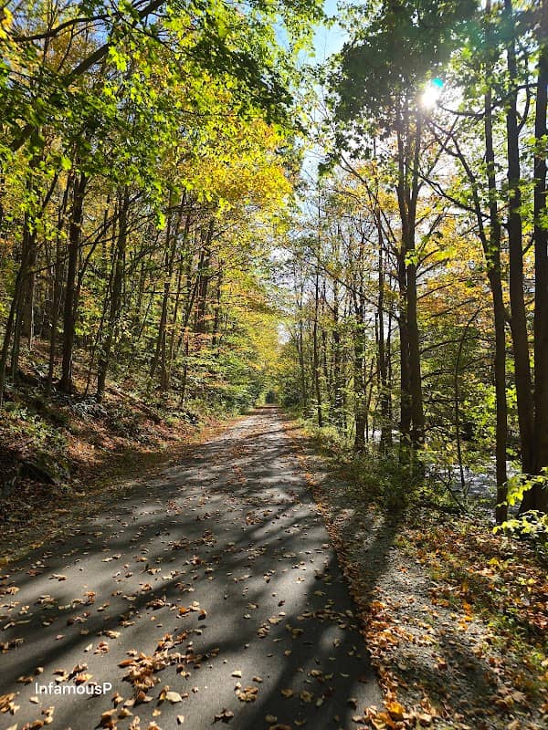 Ashuwillticook Rail Trail @ Merrill Rd - Image 3