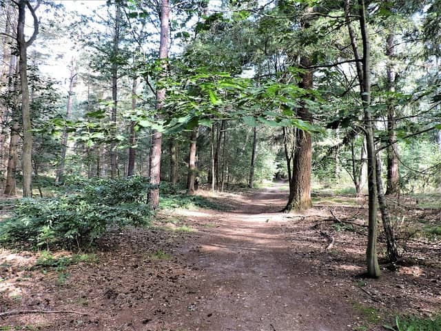 't Zand - Image 1