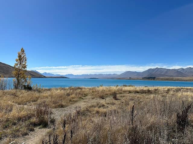 Lake Tekapo/Takapo View Point - Image 2