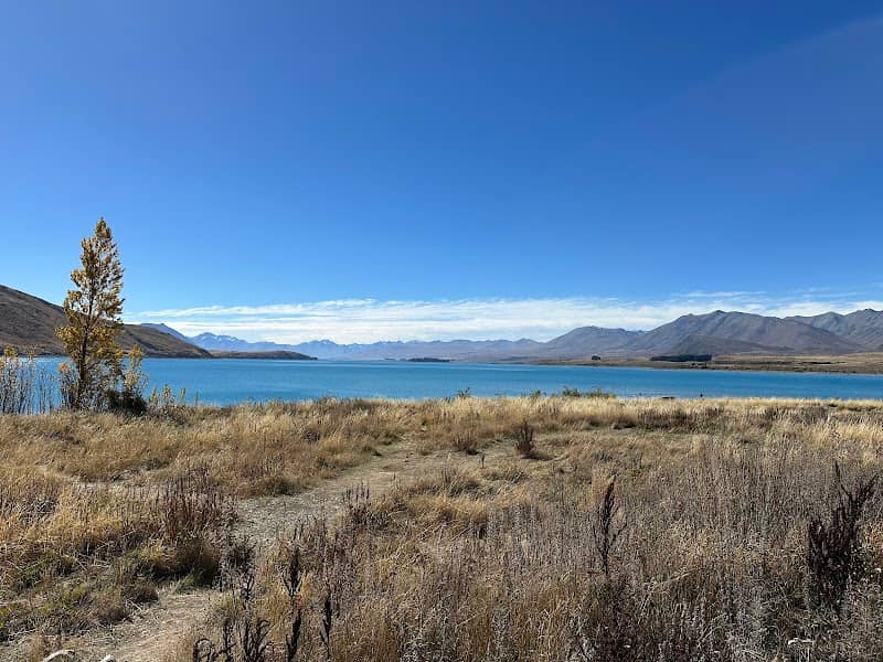 Lake Tekapo/Takapo View Point - Image 2