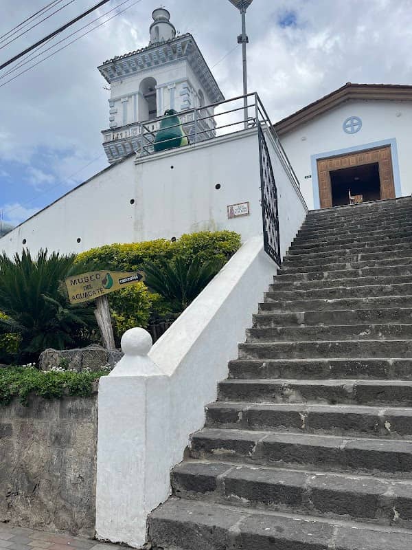 Museo del aguacate - Image 1