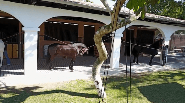 Rancho villa Paola - Image 2