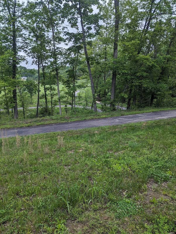 Vineland Walking Trail - Image 1