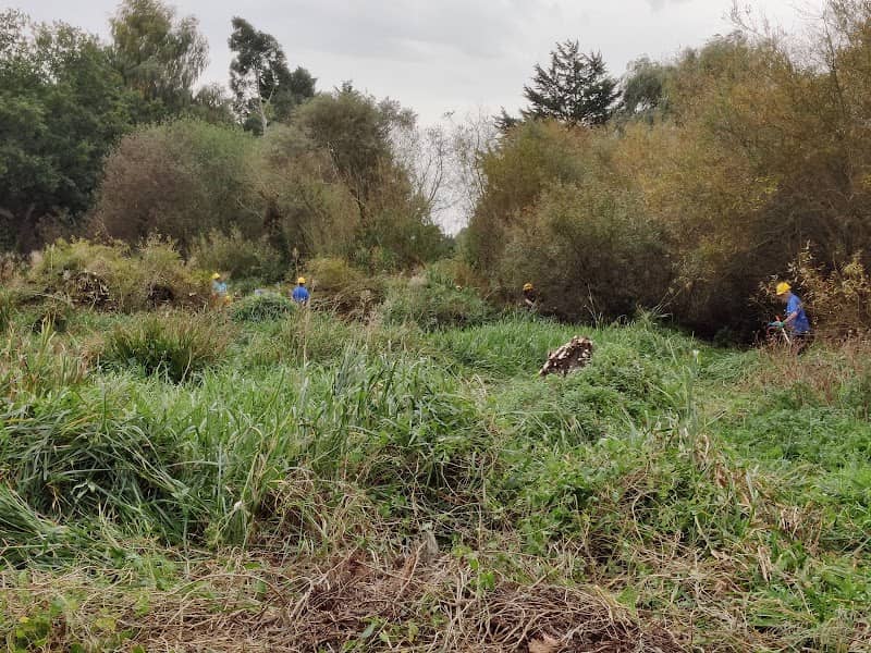 Cornard Mere - Image 1
