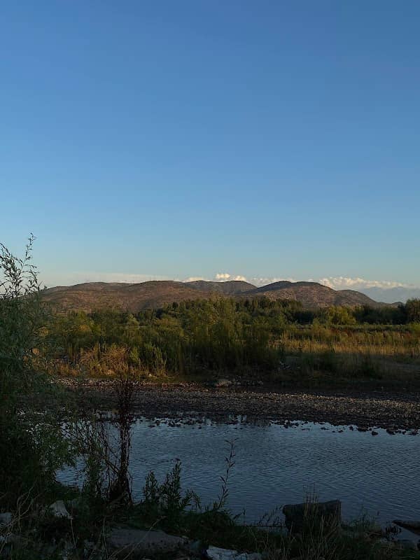 ribera cachapoal coltauco - Image 1