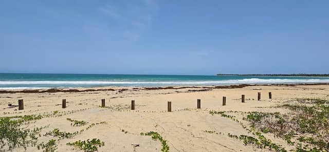 Parqueo Playa Esmeralda - Image 1