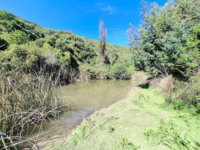 POZA AZUL - Image 1