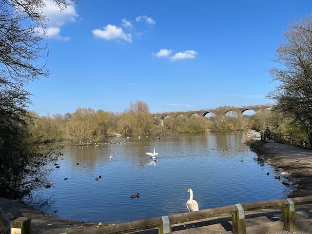Reddish Vale Country Park - Image 1