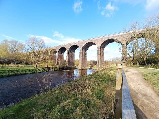 Reddish Vale Country Park - Image 2