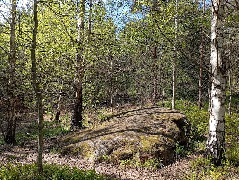 Tukuma Megalīts - Image 1