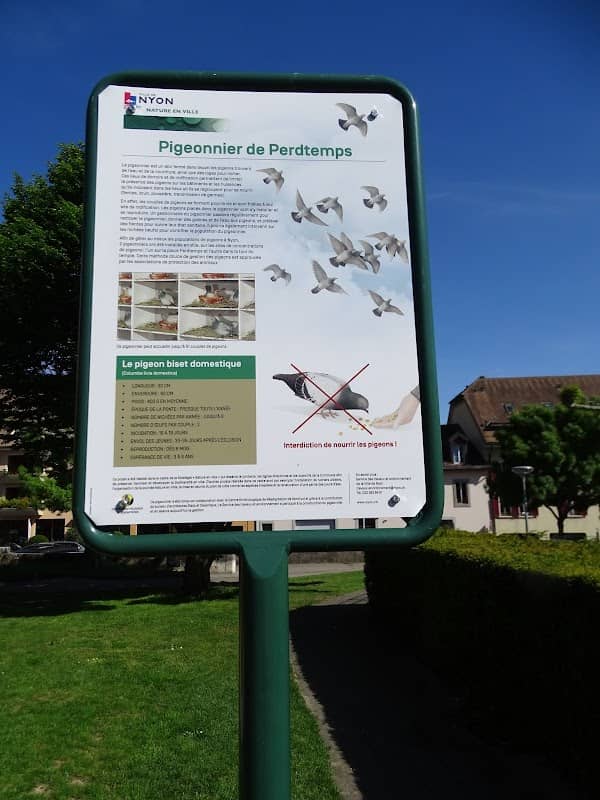 Pigeonnier - Image 2