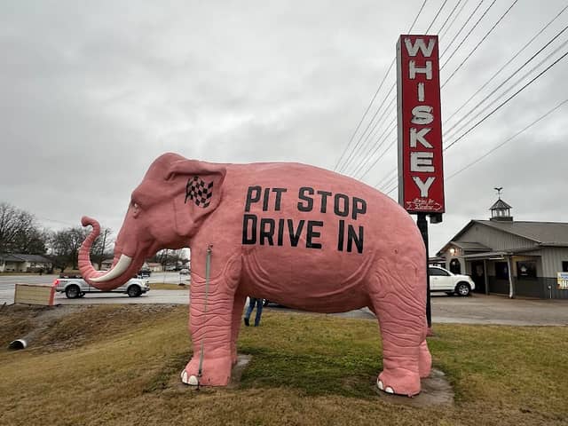 GIANT Pink Elephant - Image 1