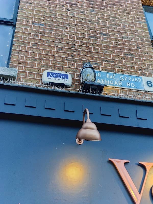 The Rathmines Owl - Image 1