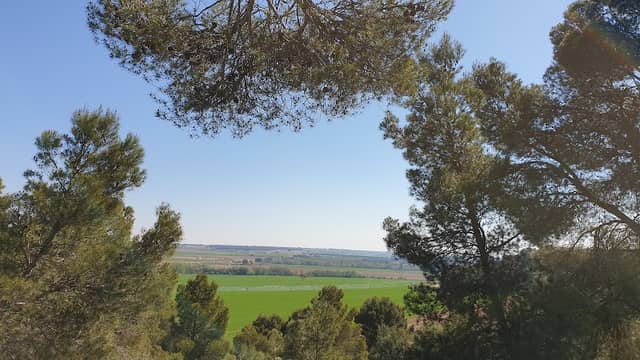 La Marmota - Image 2