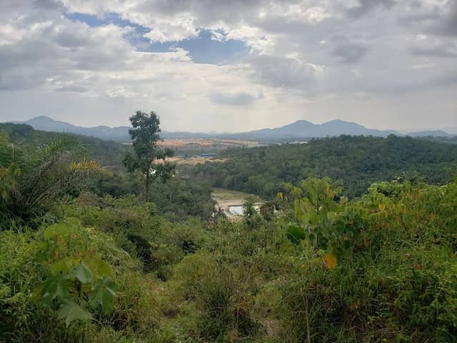 Bukit Sungai Ular Trails - Image 2