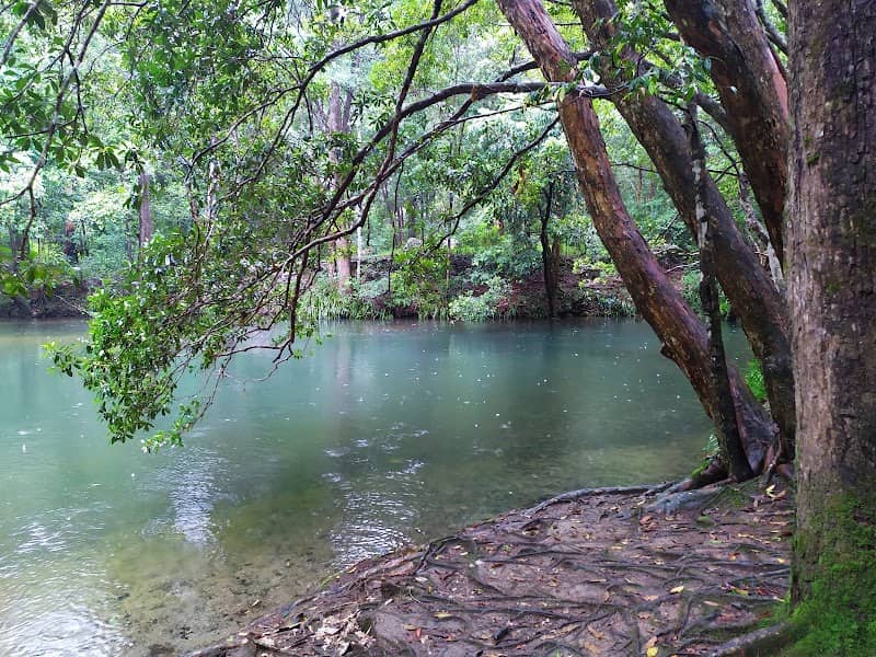 Angel Gabriel Capararo Reserve - Image 1