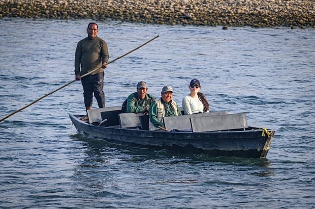Go Horned Nature guide service - Image 1