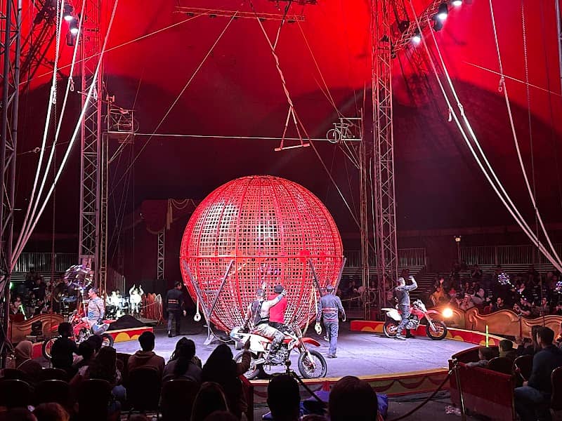 Royal Canadian International Circus - Image 2
