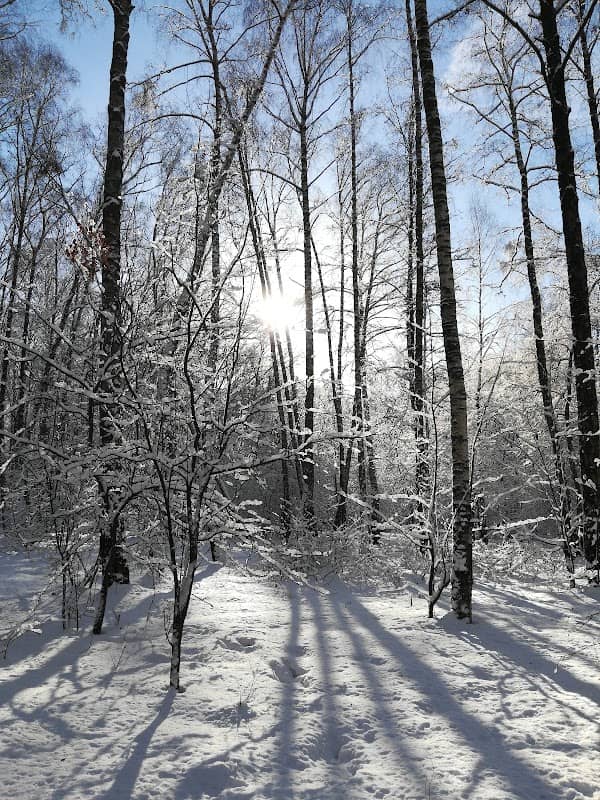 Medvedkovskiy Park - Image 1