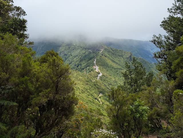 Madeira Natural Park - Image 2