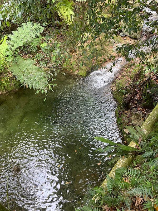 Charco los pedregones - Image 1