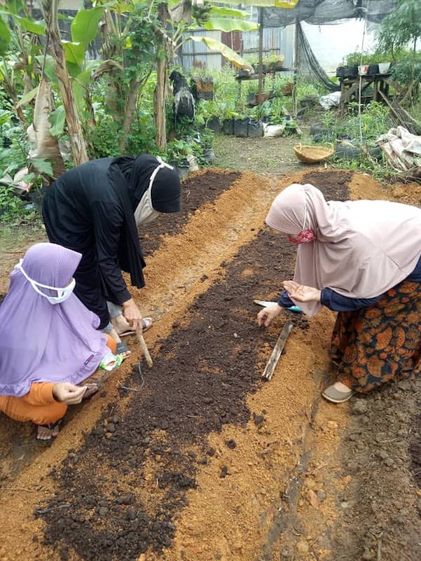 Pondok Demplot KWT LEMBAYUNG - Image 2
