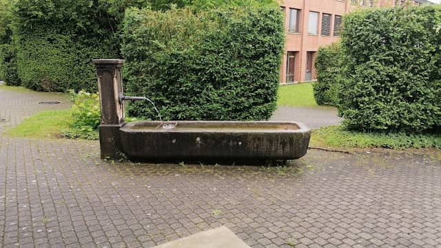 Brunnen Lerbermatt - Image 1