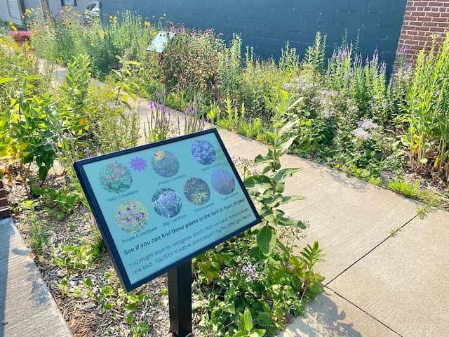 Rice Lake Library Pocket Park - Image 2