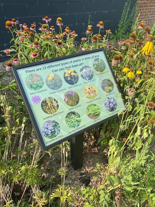 Rice Lake Library Pocket Park - Image 1