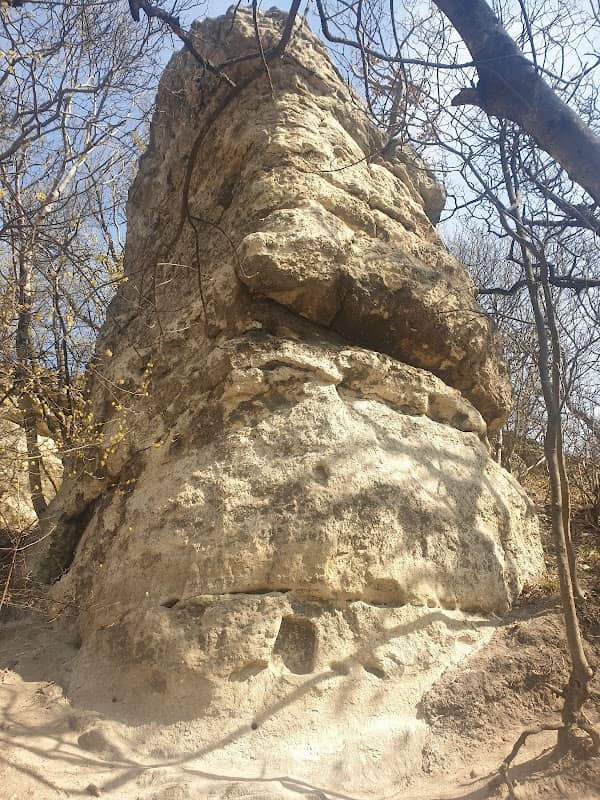 Biatorbágyi kaptárkövek - Image 2