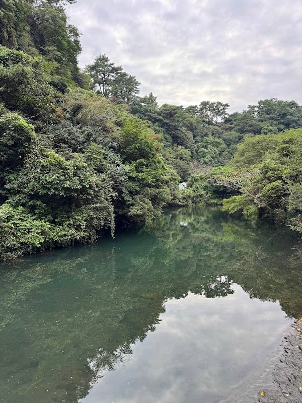 Cheonjiyeon Water Falls - Image 2