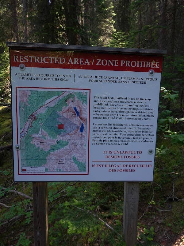 Mt. Stephen Trilobite Beds - Image 1