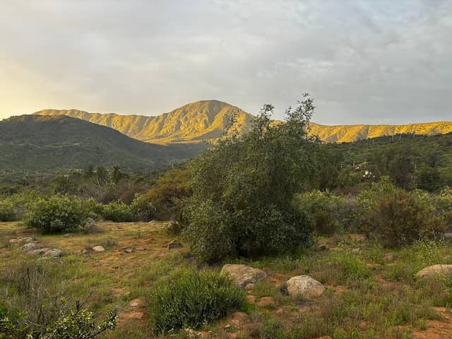 Oasis de la Campana - Image 1