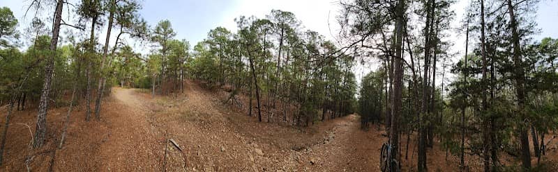 Odom Loop / Quartz Tr. confluence - Image 2