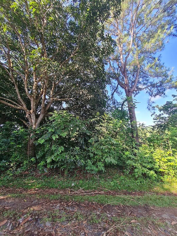 Villa Konoha ST - Image 1