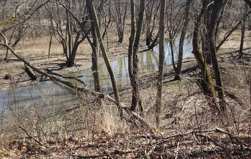 Glenwood Woods-South - Image 1