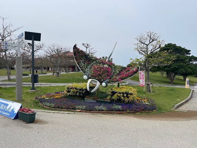 マンタの花壇 - Image 1