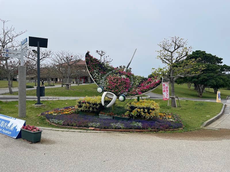 マンタの花壇 - Image 1