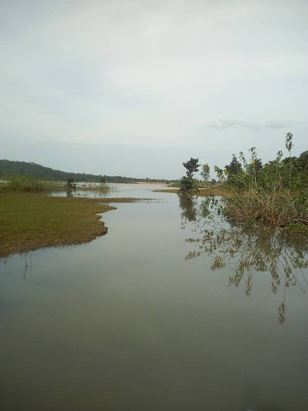 Bhimalkasa Reservoir - Image 1